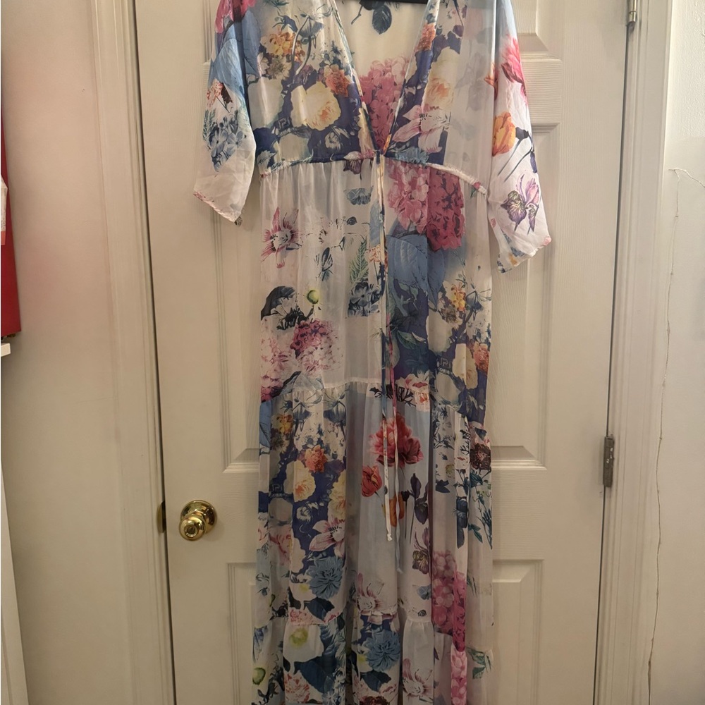Daniel Rainn Floral Print Dress with Sheer Overlay